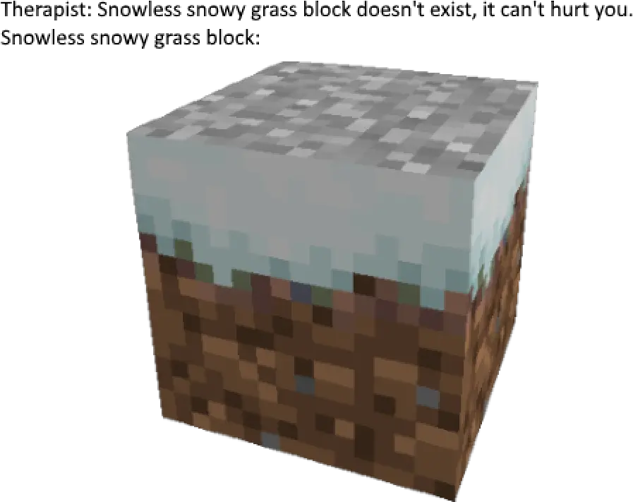 Cursed And Meme Thats Heard Of Minecraft Snow Grass Block Png Grass Block Png