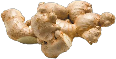 Ginger Png Photos Play Ginger Ginger Png