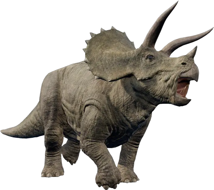 Triceratops Jurassic World Triceratops Dinosaurios Png Triceratops Png