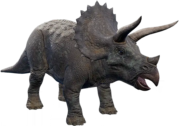 Triceratops Triceratops Jurassic World Evolution Png Triceratops Png