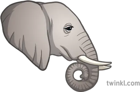 Elephant Emoji Animals Nature Twinkl Newsroom Ks2 Big Png Emoji Animals Png