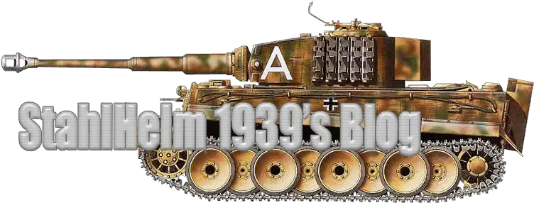 All About 5th Ss Panzer Division U201ewikingu201du2026 Der Deutsche Tiger Png Nazi Armband Png