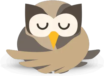 Tiny Baby Hoots Hootsuite Png Hootsuite Logo