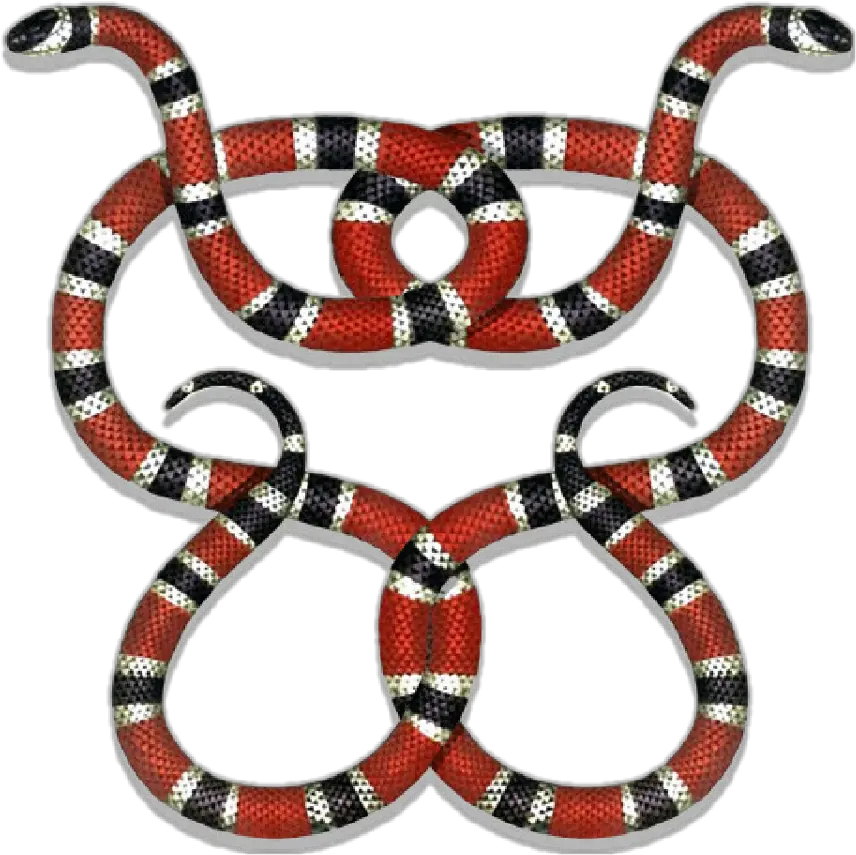 Gucci Guccigang Snakes Guccilogo Logo Desenho De Cobra Coral Png Gucci Snake Png