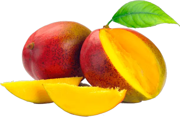 Mango Fruit Png Clipart Free Uses Of Mango Mango Png