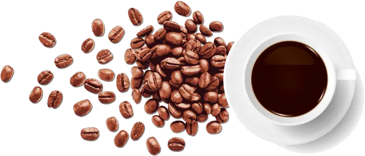 Download Free Png Coffee Bean Espresso Freshly Ground Coffee Beans Transparent Background Beans Png