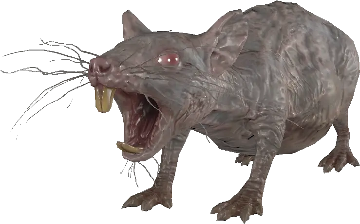 Rad Rat Pup The Vault Fallout Wiki Everything You Need Cat Yawns Png Rats Png