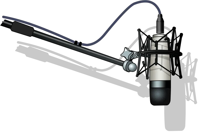Holding Microphone Png