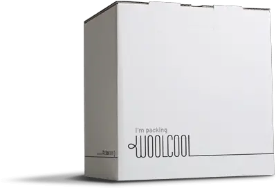 Insulated Pharma Courier Box Woolcool Packaging Courier Box White Png White Box Png