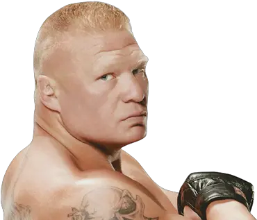 Brock Lesnar Projects Boxing Png Brock Lesnar Transparent