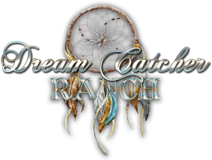 Dream Catcher Ranch Decorative Png Dream Catcher Logo