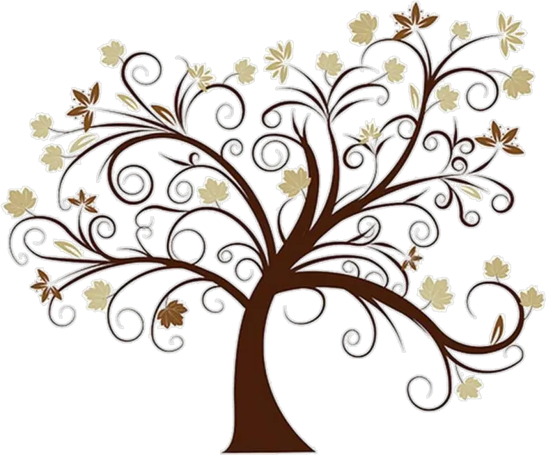 Family Tree Png Hd Beautiful Family Tree Designs Family Tree Png