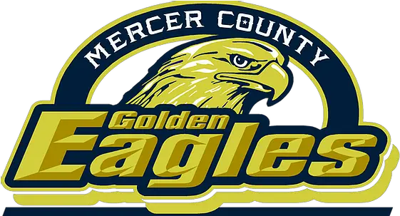 The Eagle Eye Mercer County Illinois High School Logo Png Eagle Eye Icon