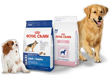 Dog Cat Png 2 Image Royal Canin Products Dog And Cat Png