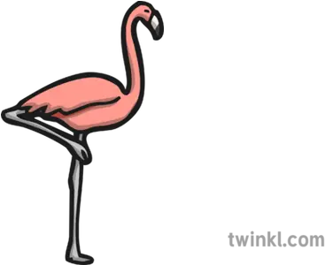 Flamingo Icon Illustration Twinkl Flamingo Twinkl Png Flamingo Clipart Png