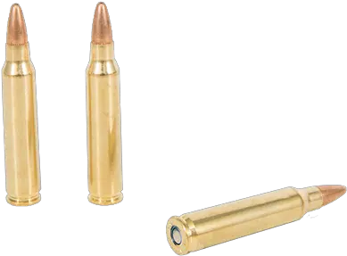 Non Standard Ammunition Gun Auction Other Ammo At Ammunition For Rifle Png Shotgun Shell Png