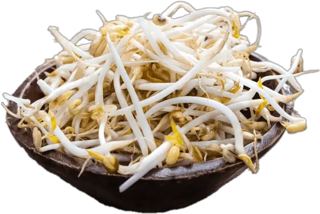 Bowl Of Soybean Sprouts Icons Png Soy Bean Sprouts Png Bean Sprout Icon