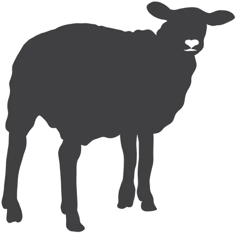 Sheep Lamb Wool Hoof Silhouette Sheep Silhouette Transparent Png Sheep Transparent
