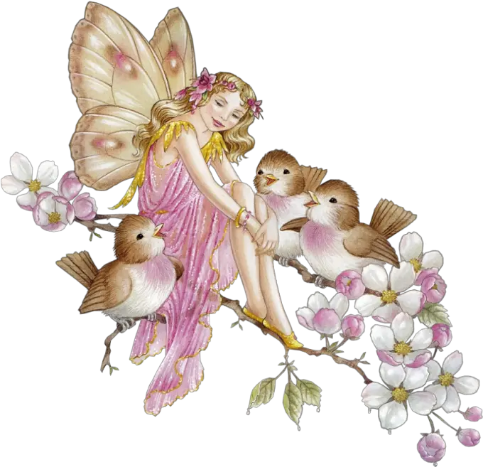 Fairy Transparent Png Fairies Png Fairy Png Transparent