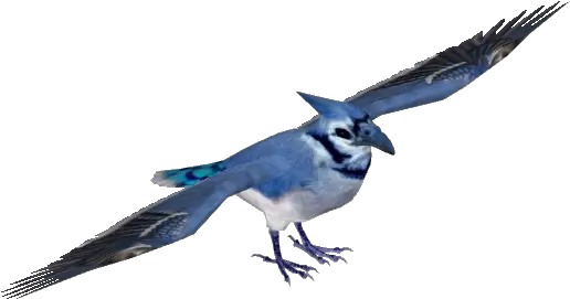 Blue Jay Tamara Henson Zt2 Download Library Wiki Fandom Blue Jay Png Blue Jay Png