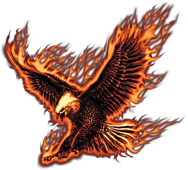 Download Jpg Black And White Library Flying Fire Eagle Transparent Fire Eagle Png Eagle Transparent Background