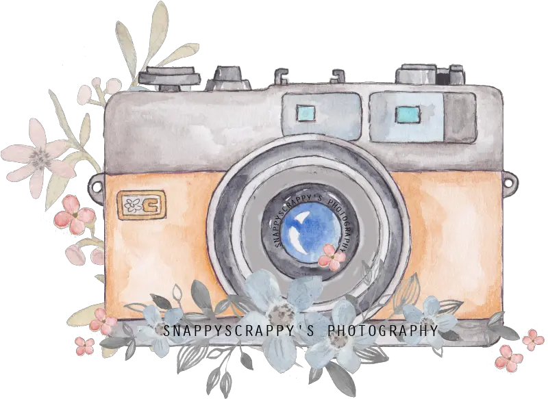 Watercolor Camera Clipart Png Camera Painting Camera Clipart Png