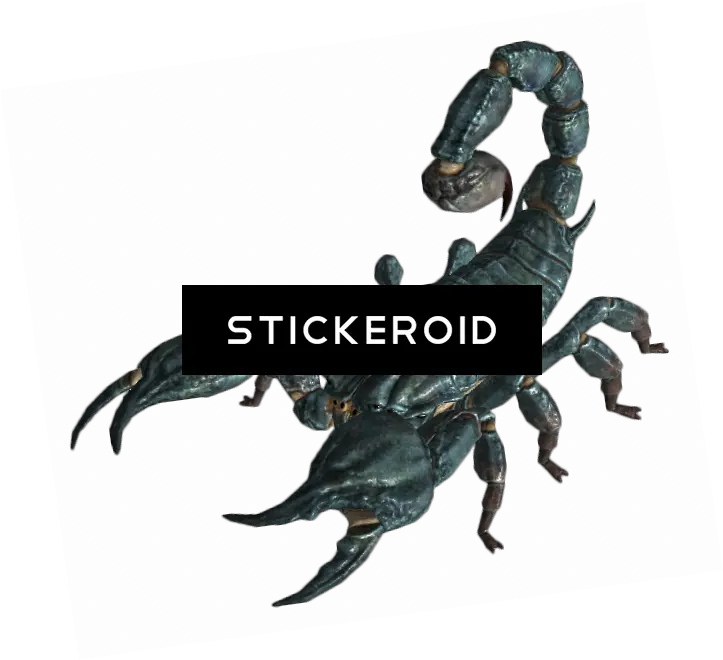 Download Scorpion Insects Scorpions Fallout New Vegas Enemies Png Scorpion Png