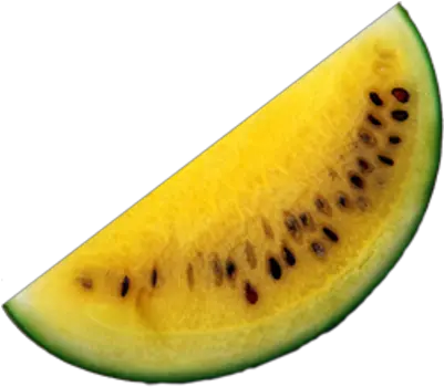 Download Watermelon Psd Yellow Watermelon Vector Png Png Yellow Watermelon Transparent Background Watermelon Transparent Background