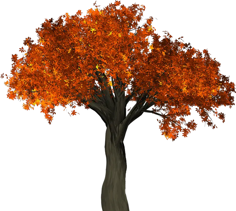 No Tree Png 3 Image Advice From A Tree Poem Orange Tree Png