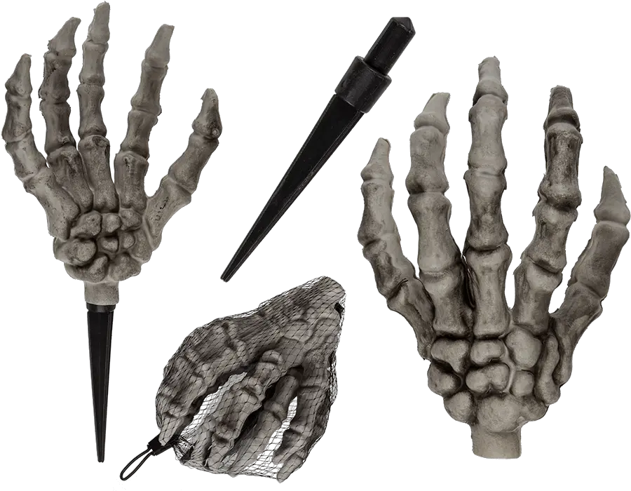 Skeletal Hand Käsi Png Skeleton Hand Png