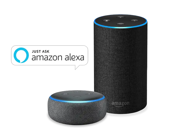 Amazon Alexa Skills Entwicklung Codeevoo Alexa Png Amazon Echo Png