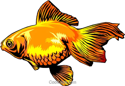 Goldfish Royalty Free Vector Clip Art Illustration Anim0325 Fish Png Goldfish Transparent Background
