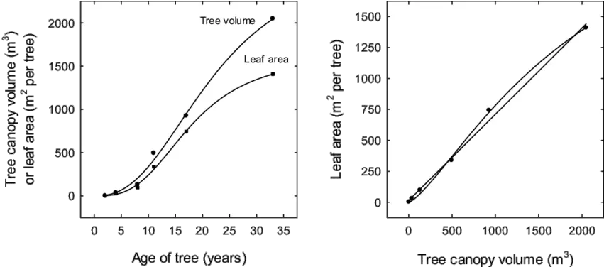 Changes In Leaf Area And Tree Canopy Plot Png Tree Canopy Png