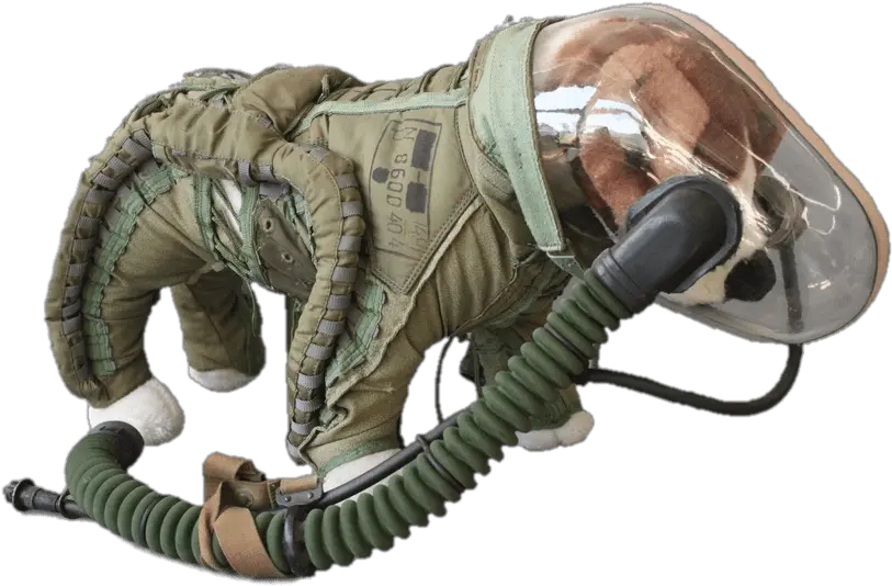 Space Suit For Dogs Transparent Png Soviet Dog Space Suit Space Helmet Png