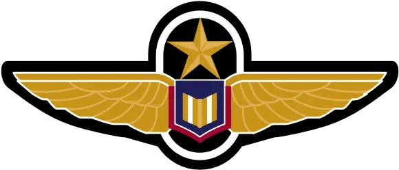 Pilot Wings Png 4 Image Pilot Wings Logo Png Pilot Wings Png