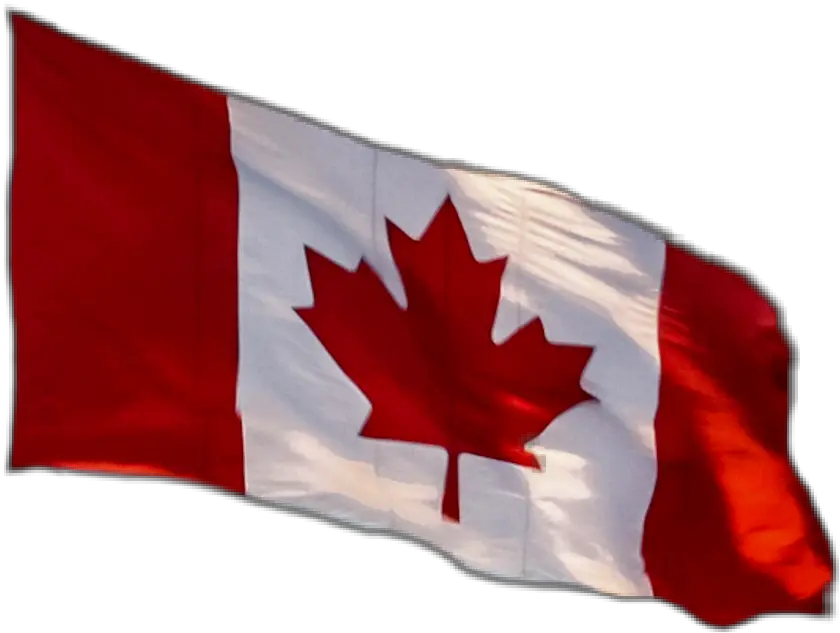 Canadianflag Canadaflag Flag Canada Love Canada Png Canada Flag Transparent