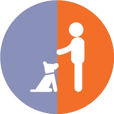 Life Of Riley Dog Boarding Doggy Daycare Training Dog Png Dog Boarding Icon