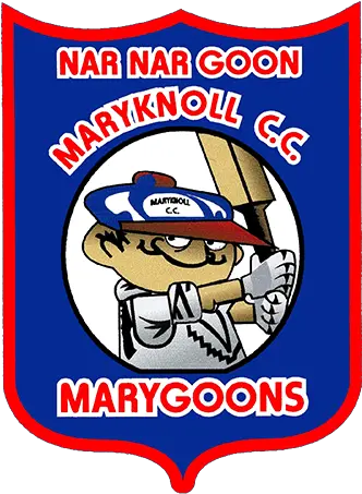 Play Cricket Illustration Png Nar Logo