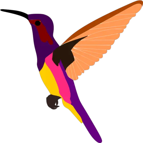 Oriole Png Images Download Transparent Image Bee Hummingbird Purple Parrot Icon