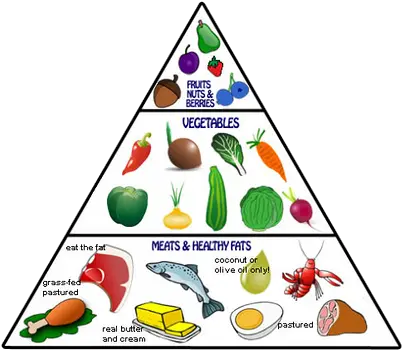 Download Paleo Food Pyramid Blog Paleolithic Diet Png Food Pyramid Png