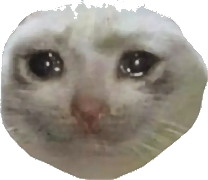 The Best 28 Cat Thumbs Up Meme Transparent Sad Cat Face Meme Transparent Png Cat Meme Icon