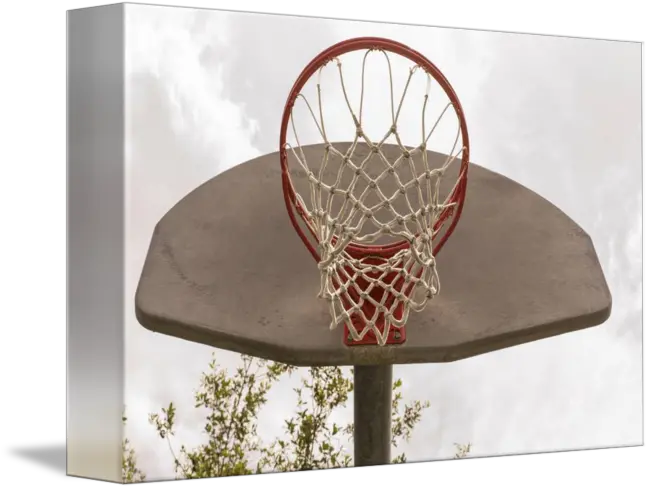 Basketball Hoop Outside Basketball Rim Png Basketball Backboard Png