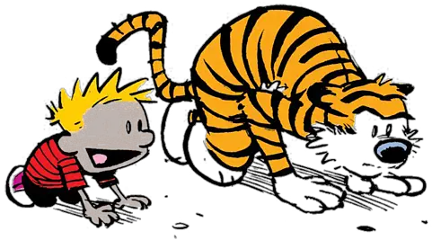 Shower Curtain For Sale Calvin And Hobbes Png Calvin And Hobbes Png