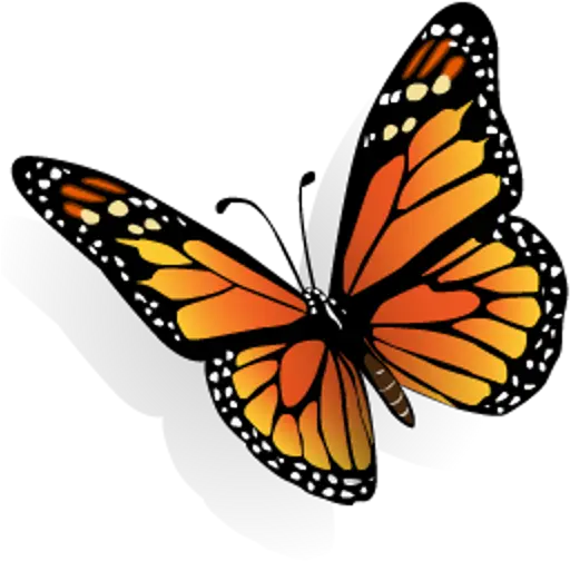 North American Butterflies Butterfly Clipart Png Monarch Butterfly Icon