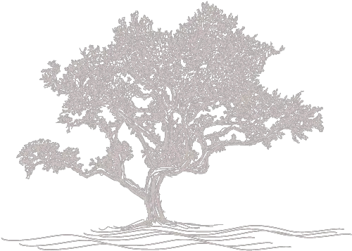 About The Oaks The Oaks At Riveru0027s Edge Sketch Png Oak Icon