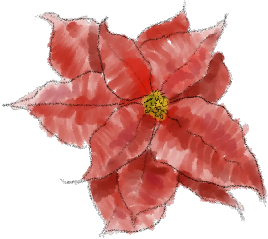 Poinsettia Png Image Transparent Background
