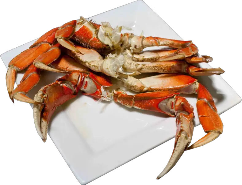 Crab Legs Dungeness Crab Png Crab Legs Png