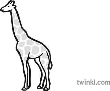 Giraffe Icon Black And White Black And White Giraffe Icon Png Giraffe Icon