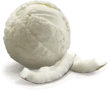 Signature U2013 Coconut Png Ice Cream Scoop