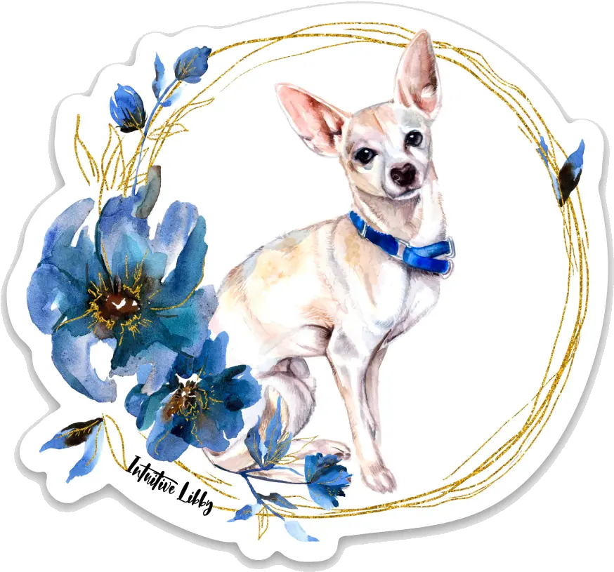 Patrón The Chihuahua Magnet Png